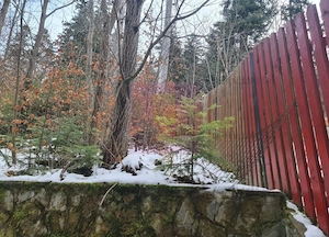 Vilă de vânzare in Sinaia - Zona Cumpătu - imagine 10