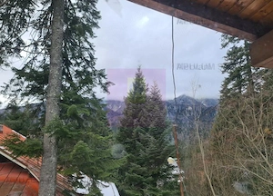 Vilă de vânzare in Sinaia - Zona Cumpătu - imagine 16
