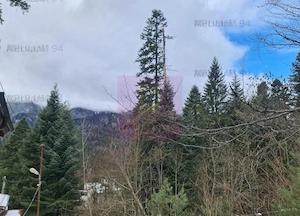 Vilă de vânzare in Sinaia - Zona Cumpătu - imagine 8