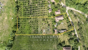 Casă tradițională cu teren de 2.560mp, în Sâmboleni, com. Cămărașu - imagine 19