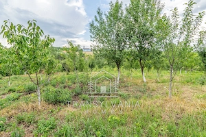 Casă tradițională cu teren de 2.560mp, în Sâmboleni, com. Cămărașu - imagine 14