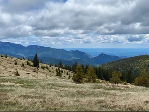 Teren intravilan 1000 mp pe Vârful lui Roman   Panoramă spectaculoasă - imagine 2