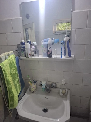 Casă de vânzare in comuna Olteni, județul Teleorman  - imagine 6