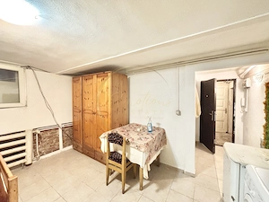 Apartament 1 camera - Take Ionescu DEMISOL - imagine 3