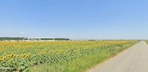 Teren de vanzare - 50 ha Ghimpati - Giugiu