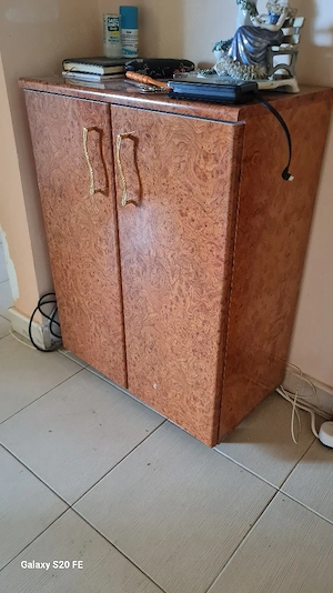 Dulap pentru pantofi sau haine cu 2 uși