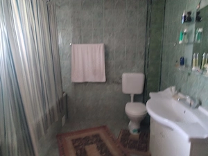 NEGRU VODA-Casa 5 camere garaj-livada 40 pomi fructiferi - Central - imagine 12