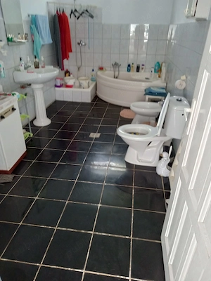 Casă 3 camere cu teren 9.797 mp lângă pădure | Monoroștia, jud. Arad | 70.000  euro negociabil - imagine 9