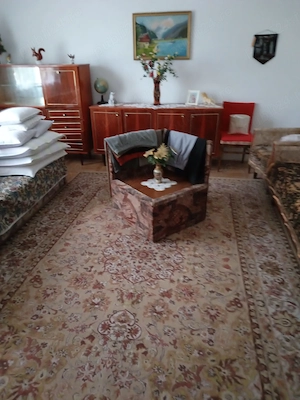 Casă 3 camere cu teren 9.797 mp lângă pădure | Monoroștia, jud. Arad | 70.000  euro negociabil - imagine 8