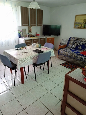 Casă 3 camere cu teren 9.797 mp lângă pădure | Monoroștia, jud. Arad | 70.000  euro negociabil - imagine 5
