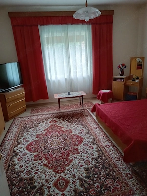 Casă 3 camere cu teren 9.797 mp lângă pădure | Monoroștia, jud. Arad | 70.000  euro negociabil - imagine 6