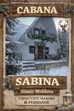 Vând sau schimb casa de vacanță în Slănic Moldova 