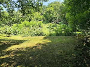 Teren intravilan 5.600 mp Valea Budului   Mărgineni, Bacău | 25EUR mp | Ideal casă Investiție. - imagine 3