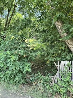 Teren intravilan 5.600 mp Valea Budului   Mărgineni, Bacău | 25EUR mp | Ideal casă Investiție. - imagine 8