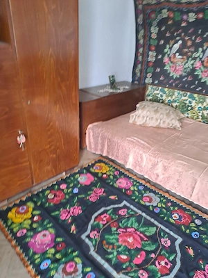 Vand casa cu curte si gradina - imagine 2