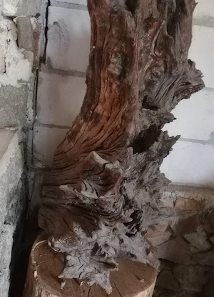 Radacina decorativa 160 cm. x 70 cm. lemn vechi patinat