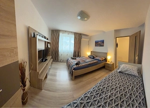 Apartament Cetate M-uri - imagine 2