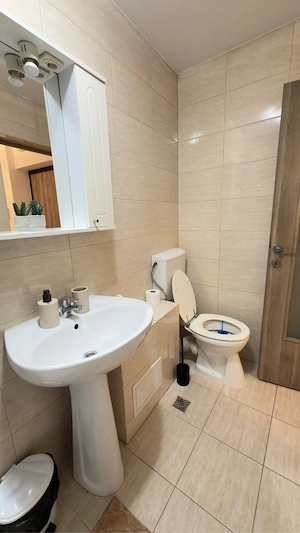 Apartament Cetate M-uri - imagine 5