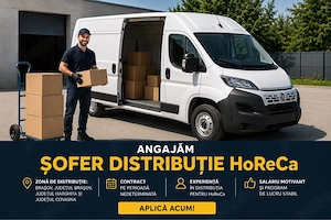 Angajam Sofer Distributie Brasov  Harghita   Covasna