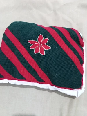 Vând Pernuțe Decorative și goblene cusute pe Etamină (Lucrate Manual)