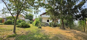 Casă S+P+M | Dârvari, Tămădău Mare | Teren 3.000 mp - imagine 3