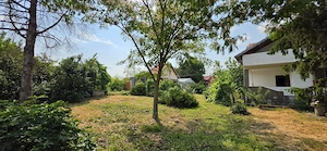 Casă S+P+M | Dârvari, Tămădău Mare | Teren 3.000 mp - imagine 5