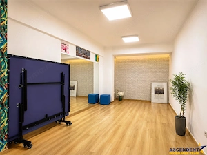 3D! Proprietate rezidential, birou, cabinet, servicii, Central,Brasov - imagine 8
