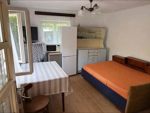 CASA SPATIOASA CU TEREN 1300MP, BALS OLT - imagine 9