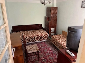 CASA SPATIOASA CU TEREN 1300MP, BALS OLT - imagine 4