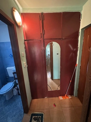 Apartament semi-decomandat, 2 camere, parter, Brazda lui Novac - imagine 9