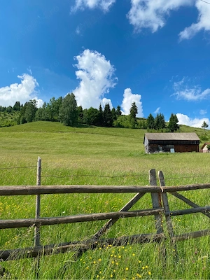 Teren intravilan de vânzare   Fundata ,Fundațica ,jud.Brașov