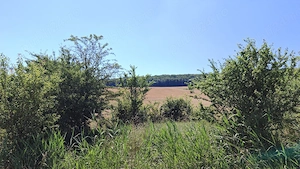 Teren 4000 mp extravilan  Sangeorgiu de Mures, deschidere 37 metri la Strada Tofalau