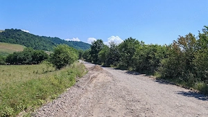 Teren 4000 mp extravilan  Sangeorgiu de Mures, deschidere 37 metri la Strada Tofalau - imagine 6