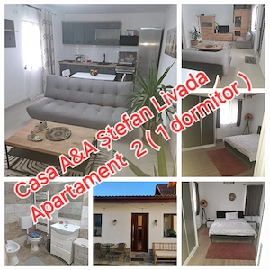 Inchiriez apartament la casa pe perioada scurta   chiar zilnic in Livada jud.Arad  in regim hotelier - imagine 10