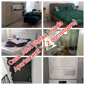 Inchiriez apartament la casa pe perioada scurta   chiar zilnic in Livada jud.Arad  in regim hotelier - imagine 9