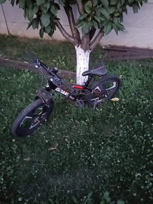 bicicleta de copii 