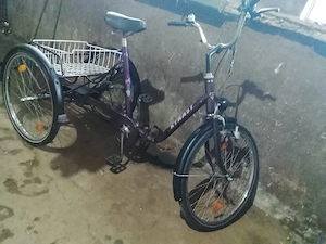 Triciclete Adulți 