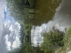 Lac pentru pescuit sportiv Gheorghieni