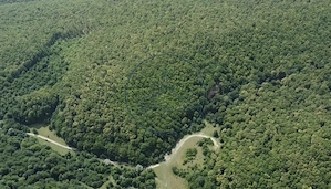 🌳 OPORTUNITATEA RARĂ DE INVESTIȚIE- PĂDURE DE VÂNZARE 38,24 HA- MINTIU  - imagine 2