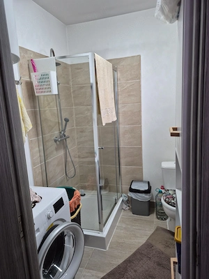 Proprietar vand casa sat Pustinis - imagine 5