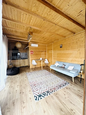 Casă individuală + Tiny House + Piscină | 511 mp teren | Ideală pentru locuință  - imagine 3