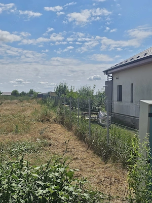 Teren 8000 mp intravilan rezidential Adunatii Copaceni (Mogossesti ) - imagine 3