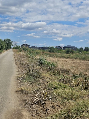 Teren 8000 mp intravilan rezidential Adunatii Copaceni (Mogossesti )