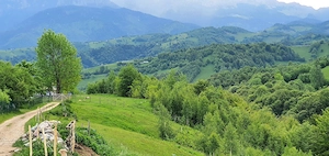 Teren pentru casa de vacanta , Pestera , Brasov - imagine 10