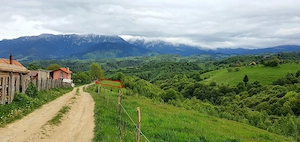 Teren pentru casa de vacanta , Pestera , Brasov - imagine 4