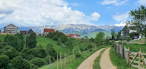 Teren pentru casa de vacanta , Pestera , Brasov - imagine 11