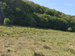 Se vinde 1ha teren la 3km de cascada Bigar ideal pentru realizatea agrement camping, cabane - imagine 7