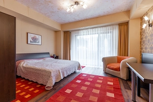 Garsoniera cu vedere la partia Clabucet , Predeal, Brasov - imagine 2