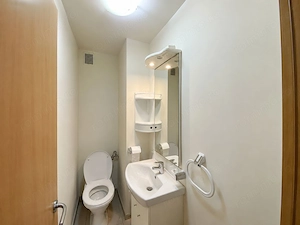 COMISION 0, Apartament 3 Camere, Decomandat, 3 Balcoane, Zona Aradului - imagine 11