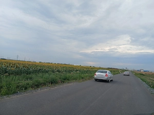 Teren de vanzare Domnesti 44.000mp,  - imagine 4